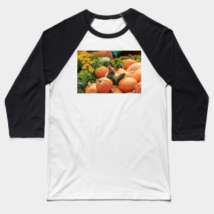 Chicken on pumpkins Baseball T-Shirt